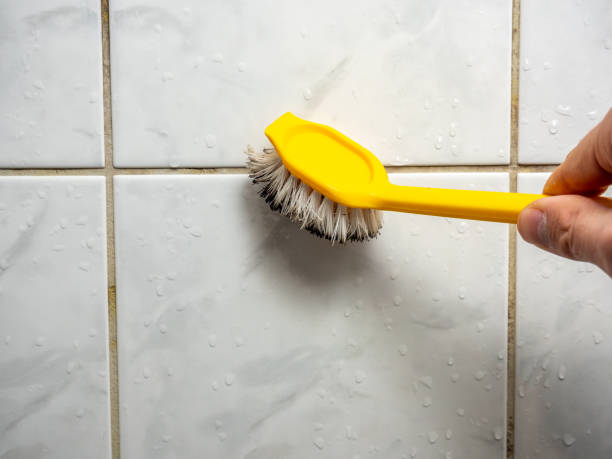 Best Residential Mold Remediation in Linden, TN
