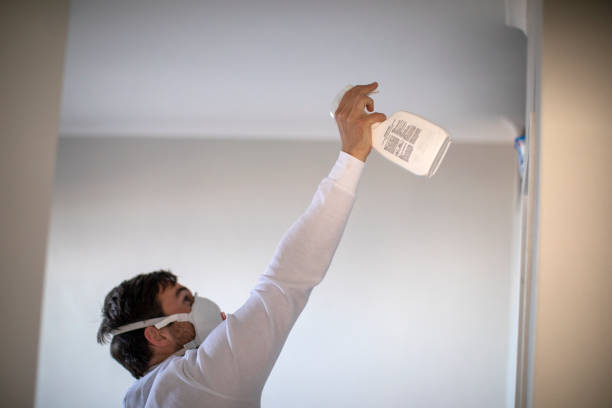 Best White Mold Remediation in Linden, TN